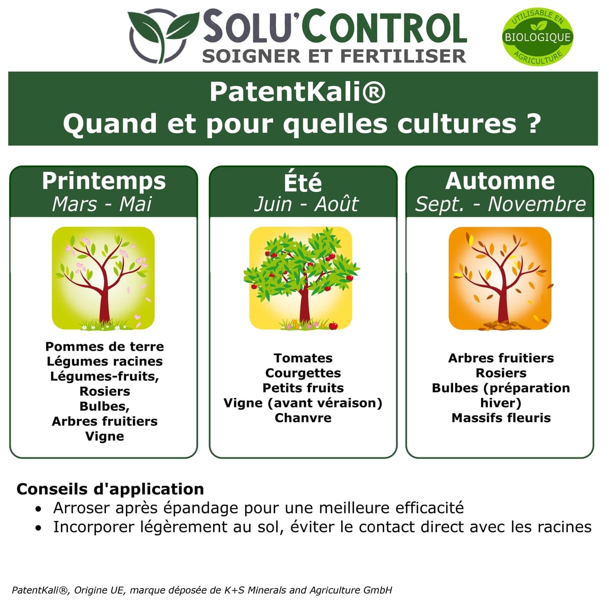 PatentKali - Calendrier