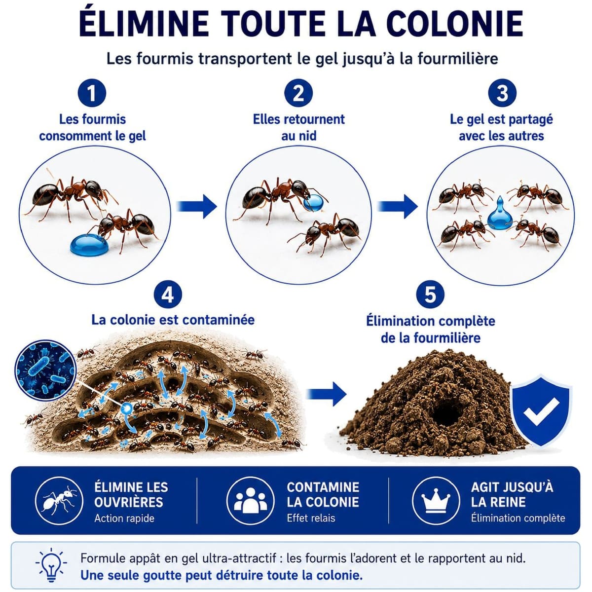 SOLU’CONTROL VADORGEL - Elimine la colonie