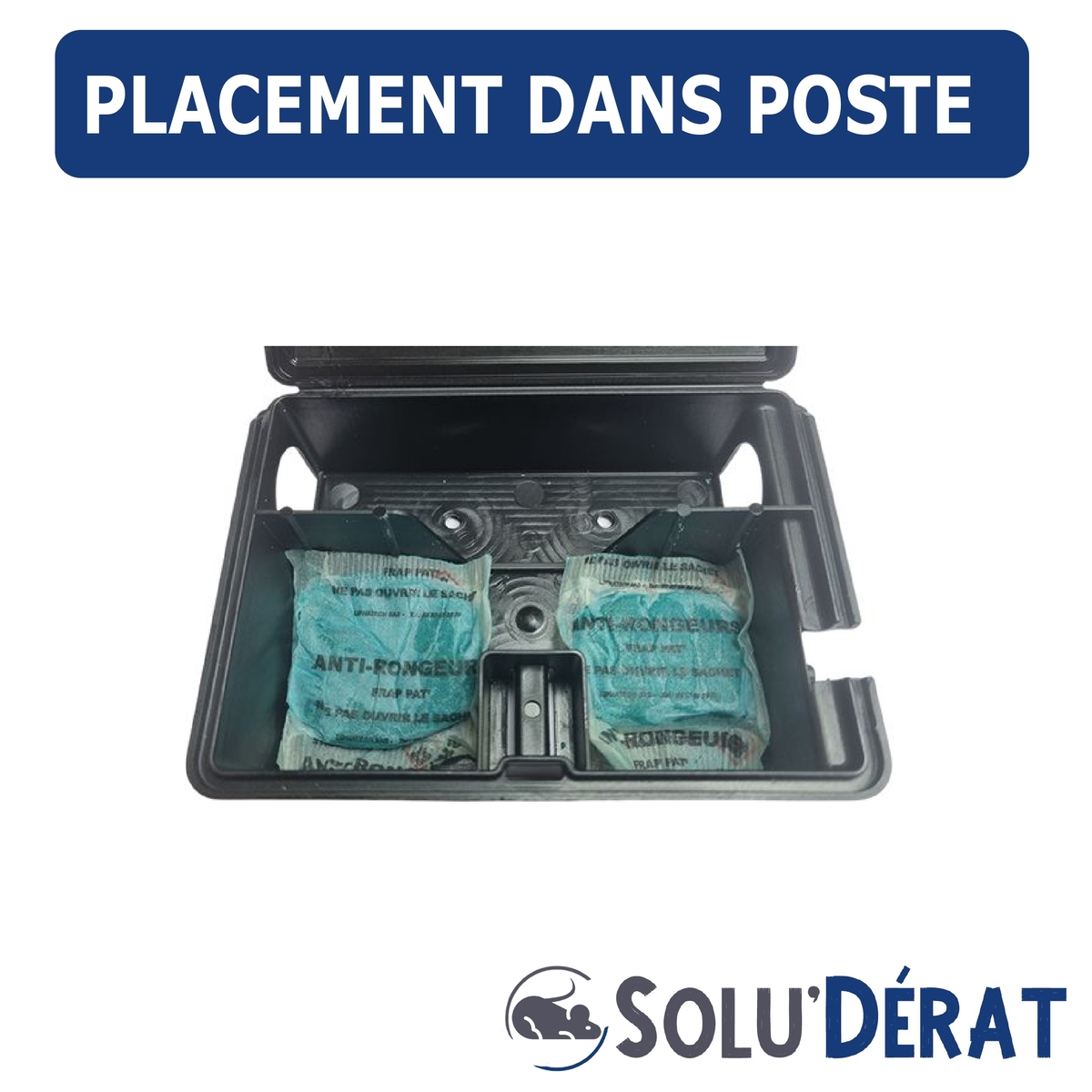 Solu'Dérat -  Mise en place poste/appat