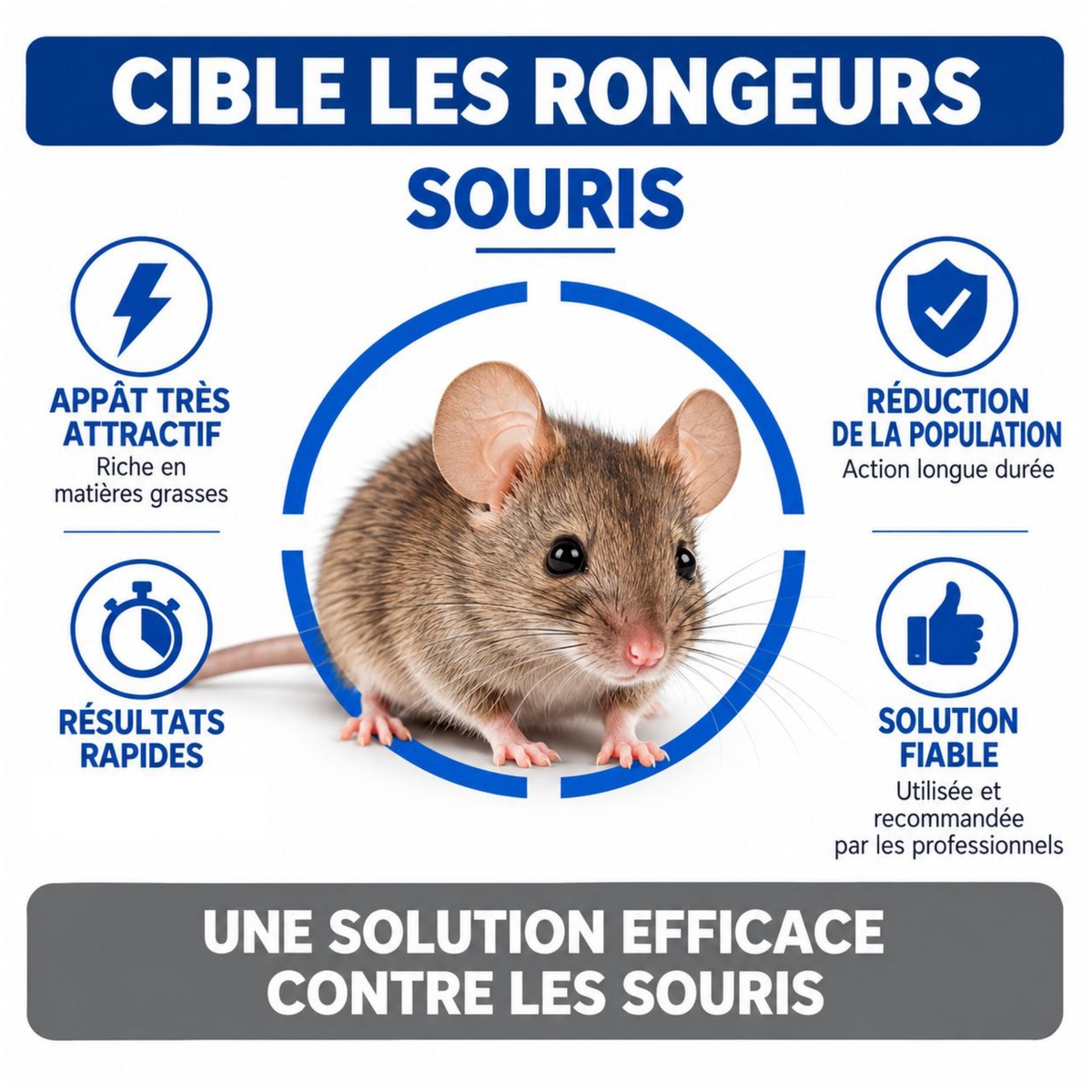 SOLU'DÉRAT - Kit souris - Cible
