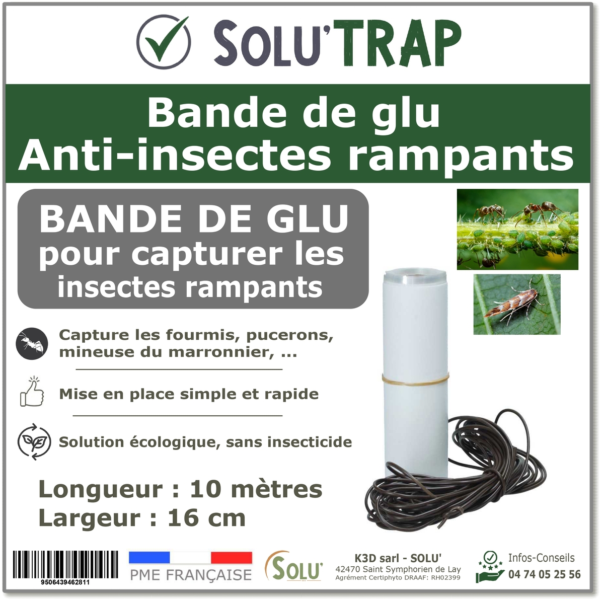 Bande glu 10m - Insectes rampants - SOLU'TRAP