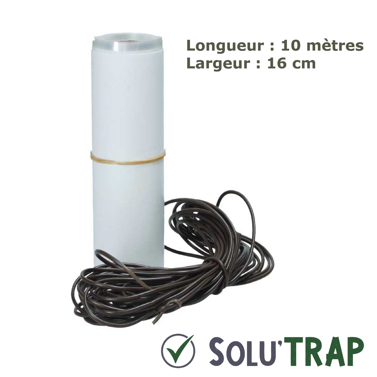 Bande glu 10m - Insectes rampants
