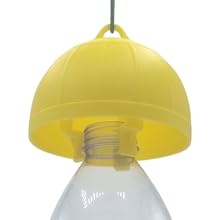 piège monté sur une bouteille d'eau