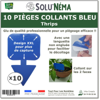 Piège collant bleu à insectes x10