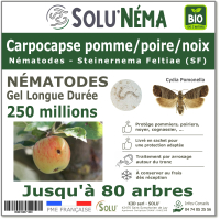 Traitement Carpocapse pomme, poires et noix - 250 millions Nématodes SF