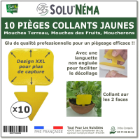 Piège collant jaune à insectes x10