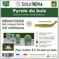 10 millions de nématodes pour traiter les chenilles de la pyrale du buis