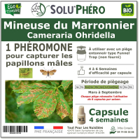 Soluphero - Phéromone mineuse marronnier par 1