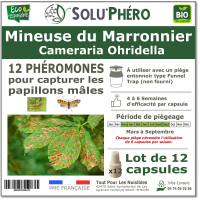 Soluphero - Phéromone mineuse marronnier par 12