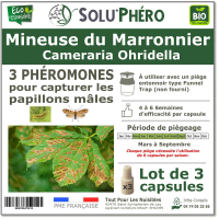 Soluphero - Phéromone mineuse marronnier par 3
