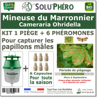 soluphero kit piège plus 6 phéromones contre la mineuse du marronnier