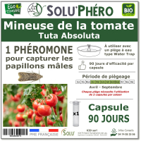 1 Phéromone contre Mineuse de la tomate 90 jours, Tuta absoluta