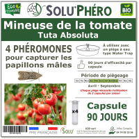 4 Phéromones contre Mineuse de la tomate 90 jours, Tuta absoluta