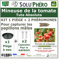 2 Phéromones + 1 piège à eau contre Mineuse de la tomate 90 jours, Tuta absoluta