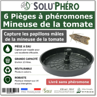 6 Pièges à phéromones Water Trap pour la mineuse de la tomate