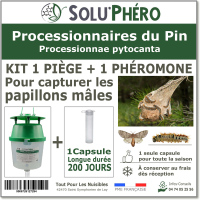 soluphero kit piège plus 1 phéromone processionnaire pin 200 jours