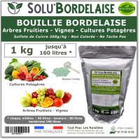 SOLU'BORDELAISE  sachet 1kg