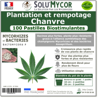 Comprimés biostimulants, SOLU'MYCOR Chanvre - 100 pastilles
