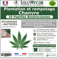 Comprimés biostimulants, SOLU'MYCOR Chanvre - 25 pastilles
