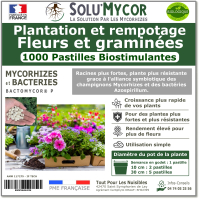 Comprimés biostimulants, SOLU'MYCOR Fleurs et graminées- 1000 pastilles