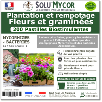 Comprimés biostimulants, SOLU'MYCOR Fleurs et graminées - 200 pastilles