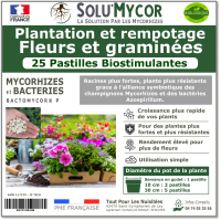 Comprimés biostimulants, SOLU'MYCOR Fleurs et graminées - 25 pastilles