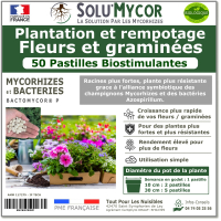 Comprimés biostimulants, SOLU'MYCOR Fleurs et graminées - 50 pastilles