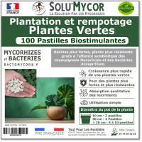 SoluMycor 100 Pastilles Bio-stimulantes