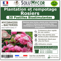 Comprimés biostimulants, SOLU'MYCOR Rosiers - 50 pastilles
