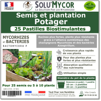 Comprimés biostimulants, SOLU'MYCOR Potager - 25 pastilles