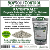 500 gr de PatentKali