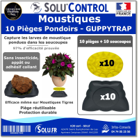 10 Guppy Trap complet avec coupelle