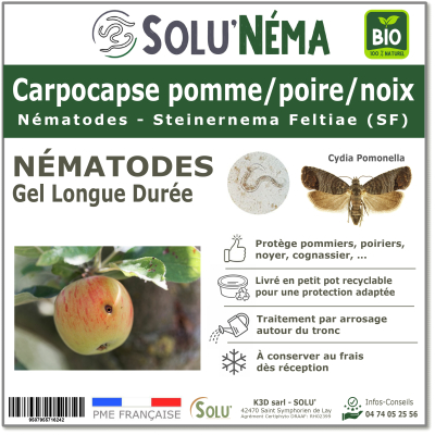 Traitement avec nématodes pour le Carpocapse pomme, poires et noix
