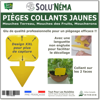 Piège collant jaune à insectes XXL : mouche du terreau, moucheron pour plante en pot