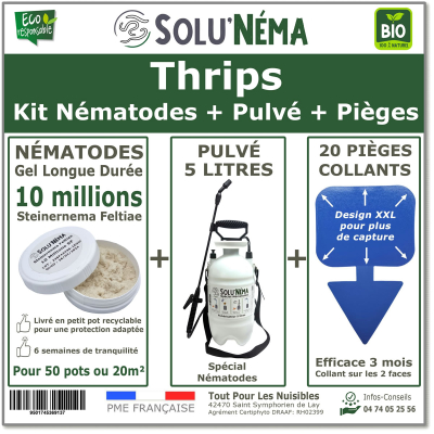 Kit Thrips - 10 millions + 1 pulvé 2L + 20 pièges bleus XXL