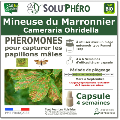 Phéromone pour attirer et capturer le papillon mâle de la mineuse du marronnier, Cameraria Ohridella