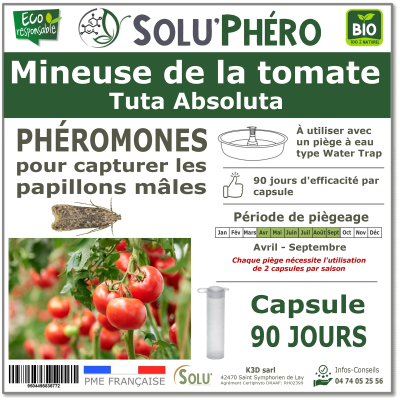 Phéromone contre Mineuse de la tomate 90 jours, Tuta absoluta