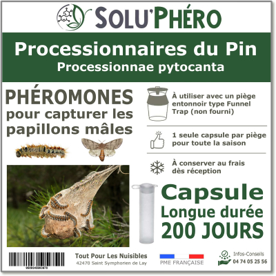 Phéromone pour attirer et piéger le papillon male de la processionnaire du pin