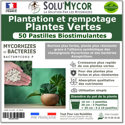 SoluMycor 25 Pastilles Bio-stimulantes