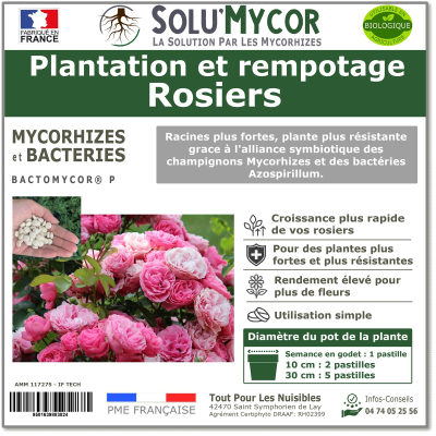 Master Label solu'Mycor rosier