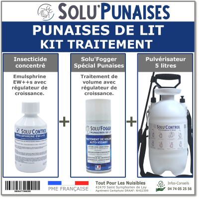 Traitement insecticide efficace sur la punaise de lit