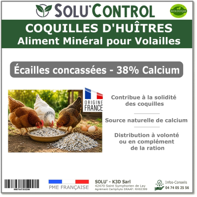Écailles de Coquilles d'Huîtres Concassées alimentation volailes – SOLU'CONTROL