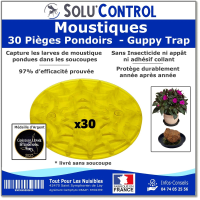 30 Guppy Trap complet avec coupelle